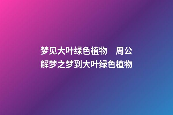 梦见大叶绿色植物　周公解梦之梦到大叶绿色植物